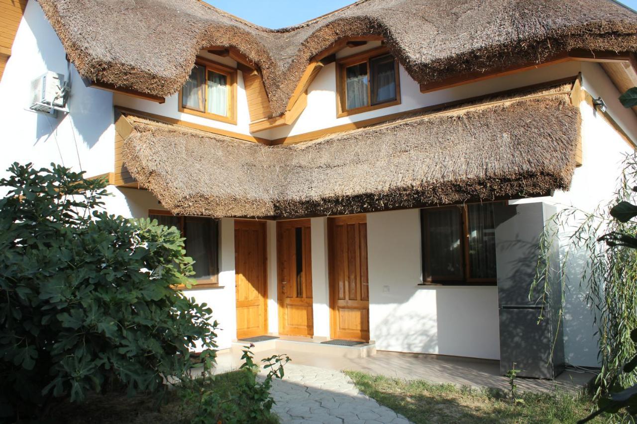 Hotel Cerdacul Cu Stuf Sfântu Gheorghe Exterior foto