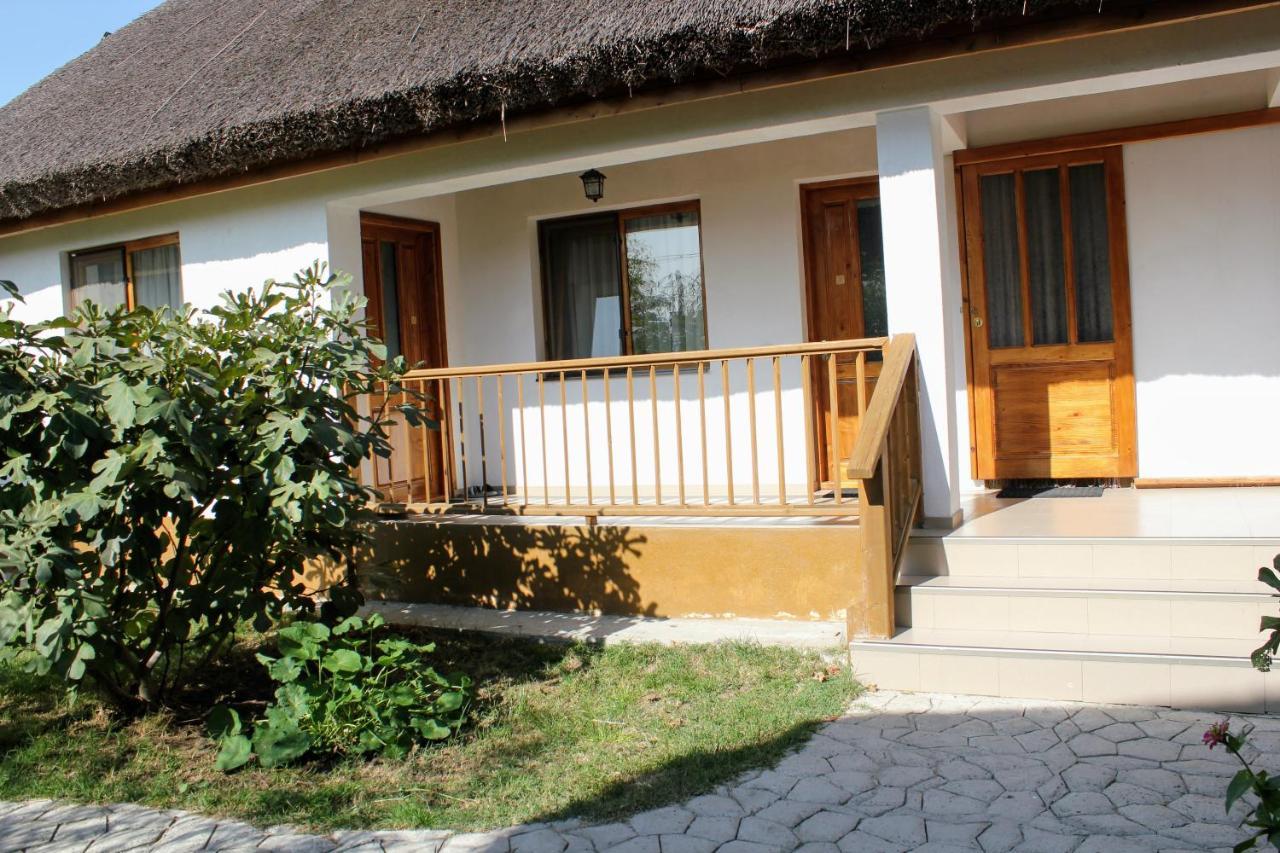 Hotel Cerdacul Cu Stuf Sfântu Gheorghe Exterior foto